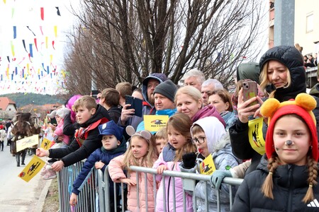 ZLATA POROKA PUSTNI KARNEVAL 43 FOTO LJUBO VUKELIČ